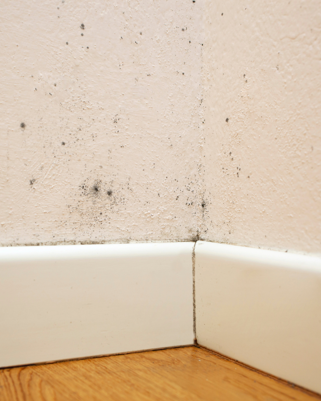 Penész a falon? Így előzhető meg aktív páraszabályozással